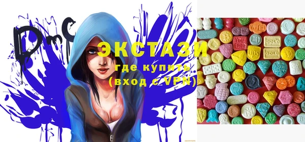 стаф Аркадак