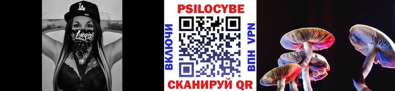 Псилоцибиновые грибы Psilocybine cubensis  закладка  Печора 